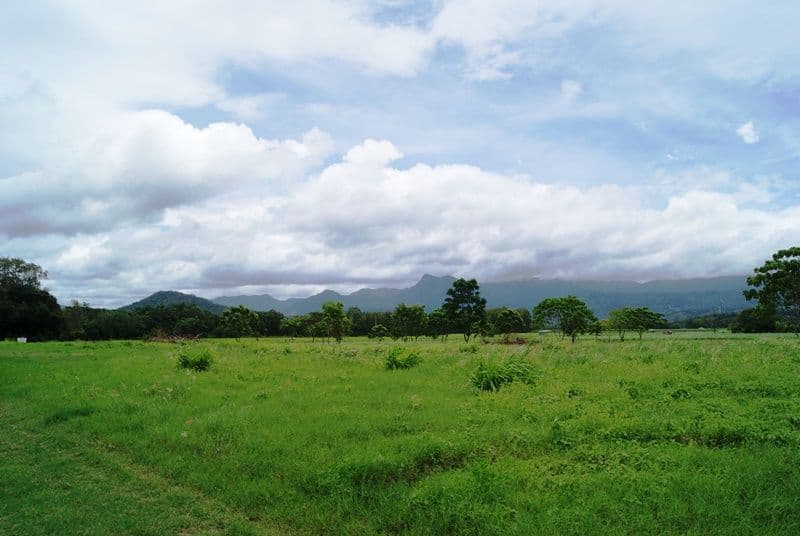 163R Newell Road, NEWELL QLD 4873, Newell - Thumbnail 5
