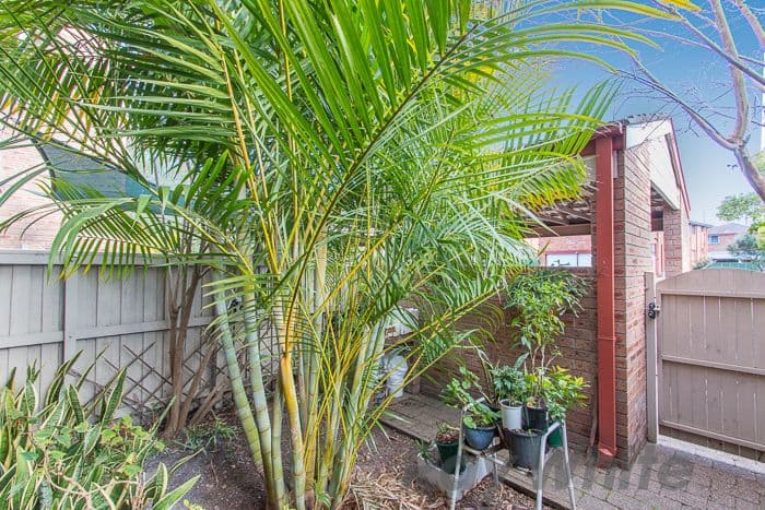 25 Railway Road, New Lambton NSW 2305, New Lambton - Thumbnail 8