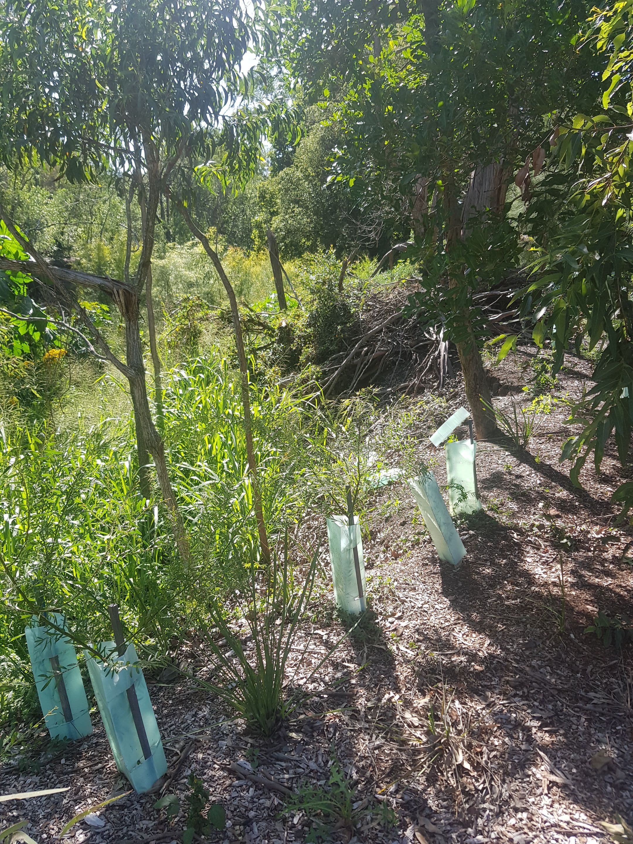 Lot 2, 266 Beenleigh Road, Sunnybank QLD 4109, Sunnybank - Thumbnail 5