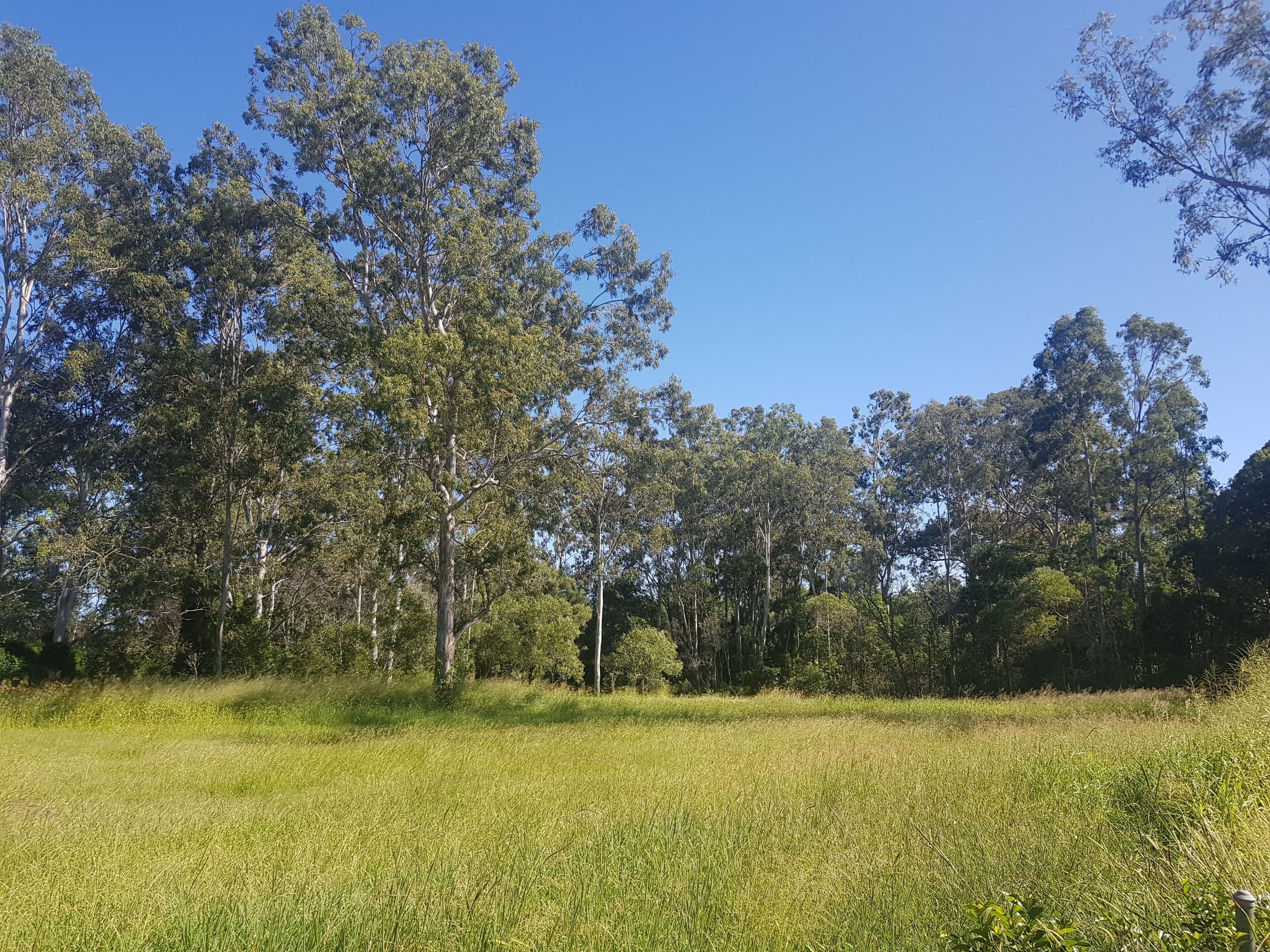 Lot 2, 266 Beenleigh Road, Sunnybank QLD 4109, Sunnybank - Thumbnail 7