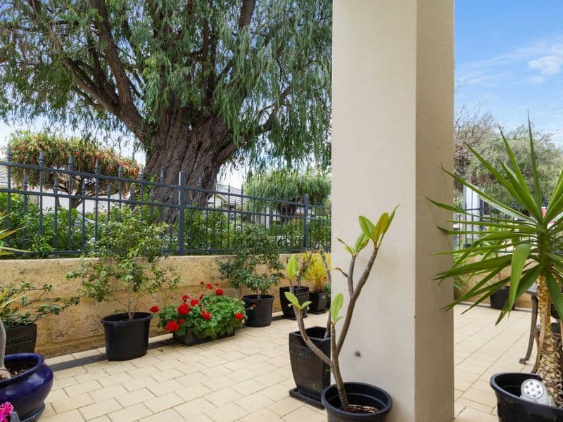 48 Powell Street, Joondanna WA 6060, Joondanna - Thumbnail 3