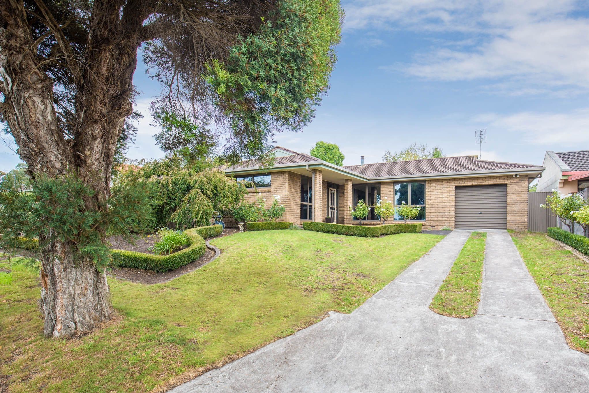 57 Swallow Drive, Mount Gambier SA 5290, Mount Gambier - Thumbnail 2