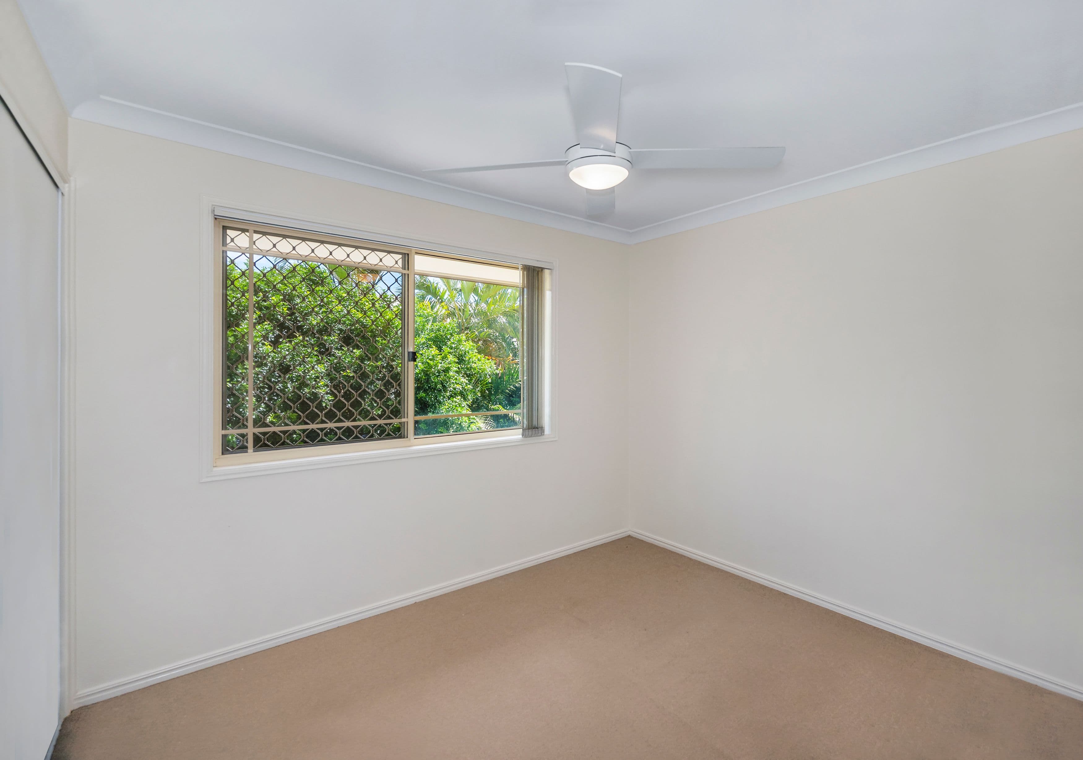 44 Stevenson Street, Ascot QLD 4007, Ascot - Thumbnail 7