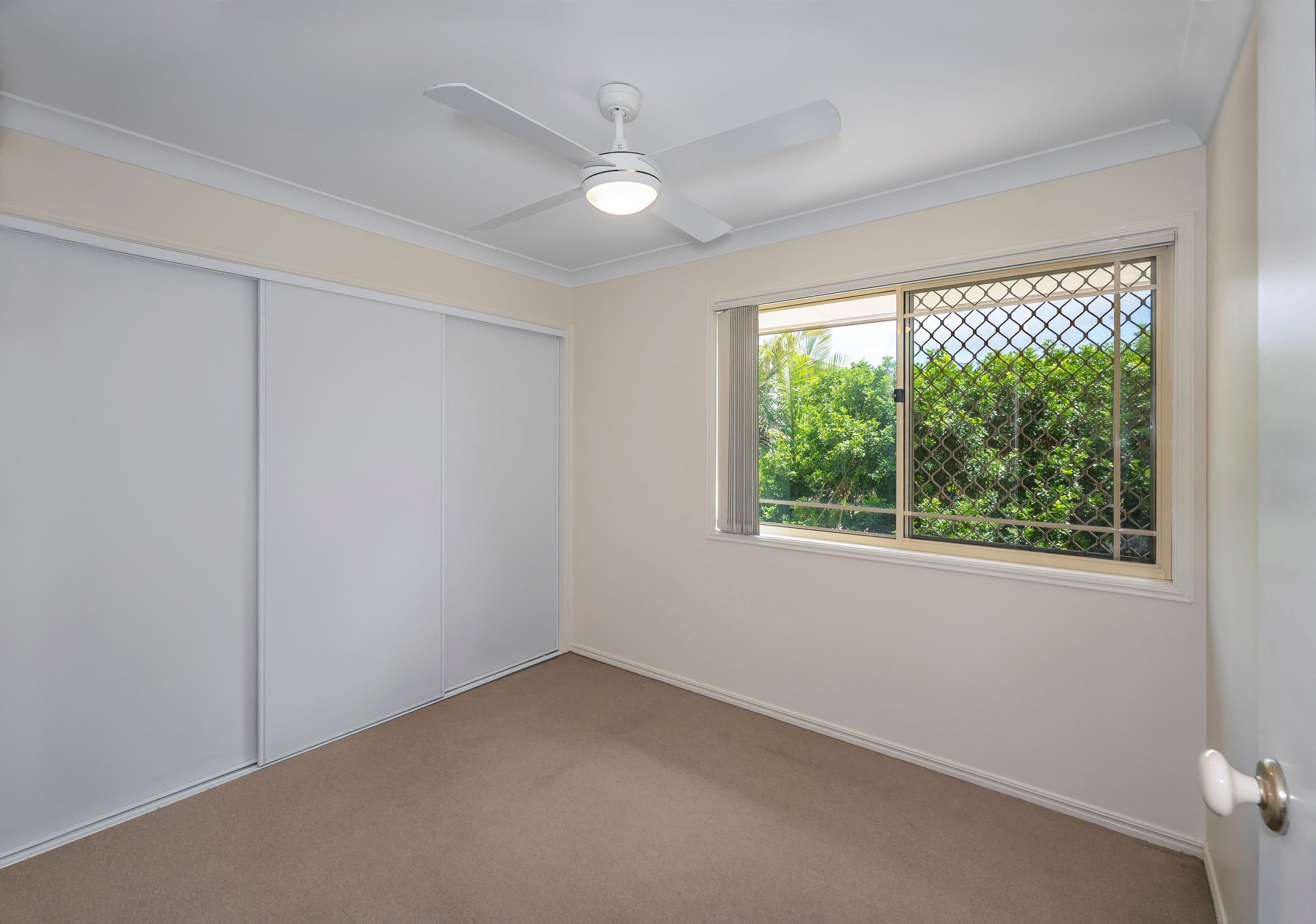 44 Stevenson Street, Ascot QLD 4007, Ascot - Thumbnail 8