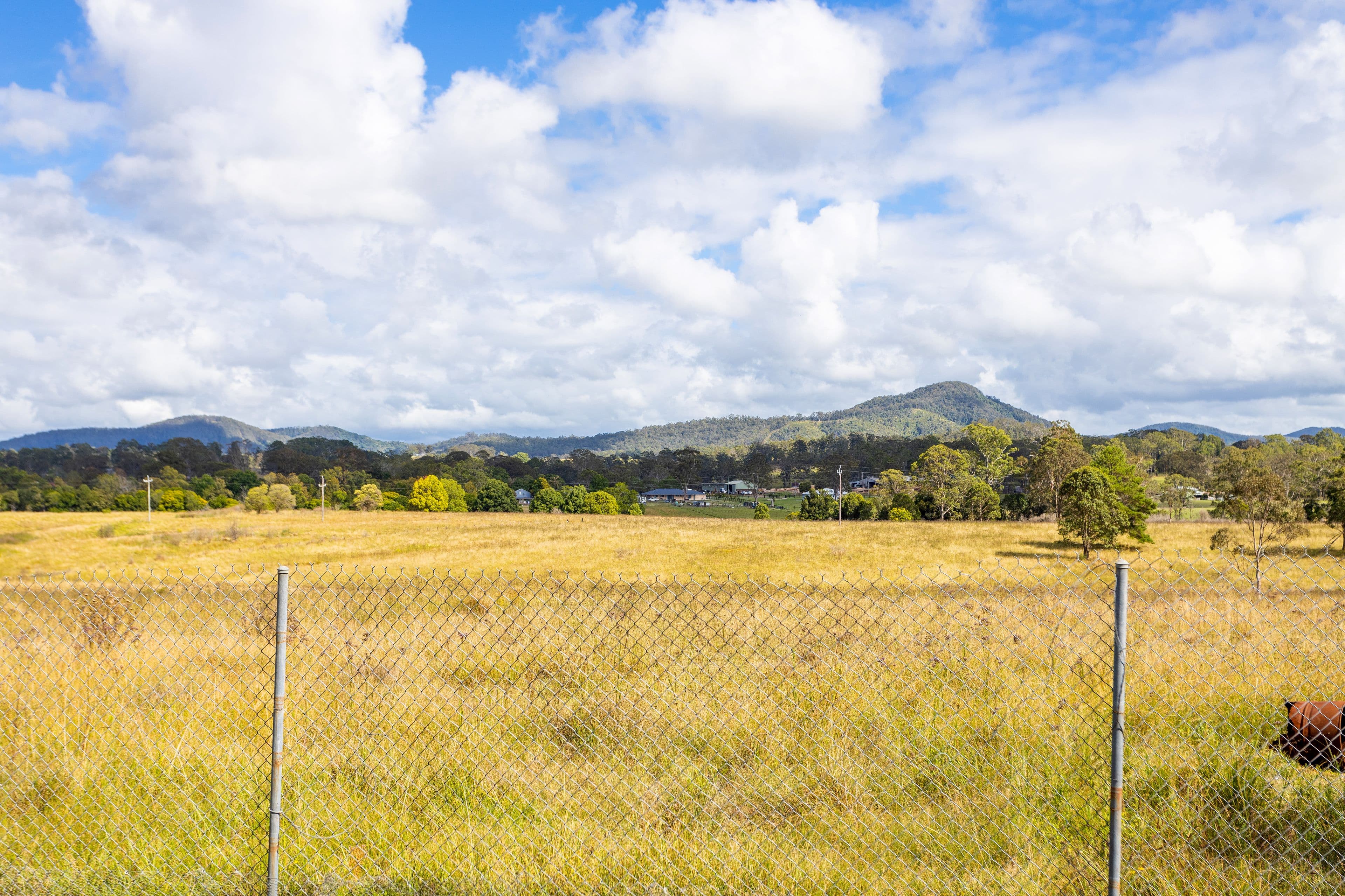 1070 Wingham Road, Wingham NSW 2429, Wingham - Image 1