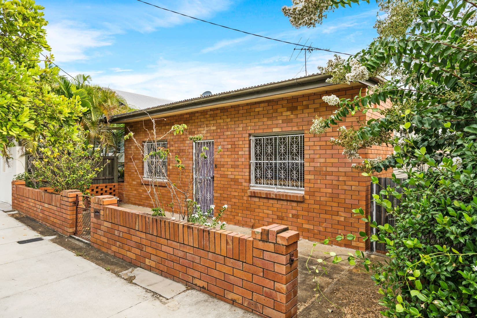 51 Kingsholme Street, Teneriffe QLD 4005, Teneriffe - Thumbnail 5