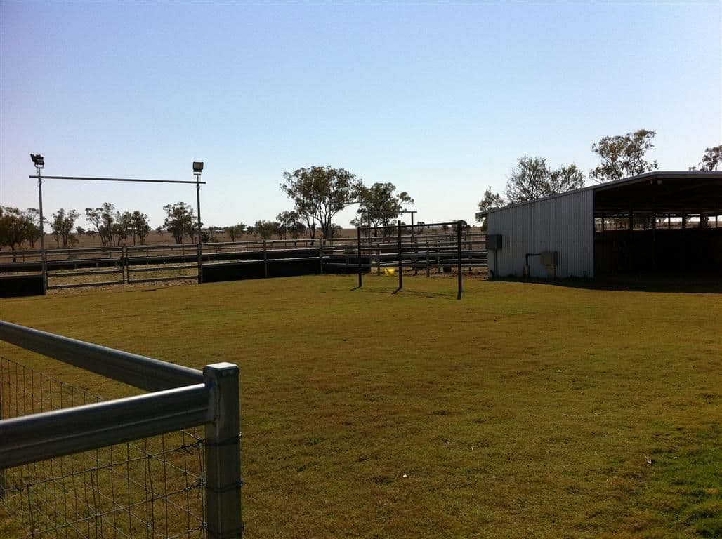 Lot 17  Woodside Road, ROMA QLD 4455, Roma - Thumbnail 5
