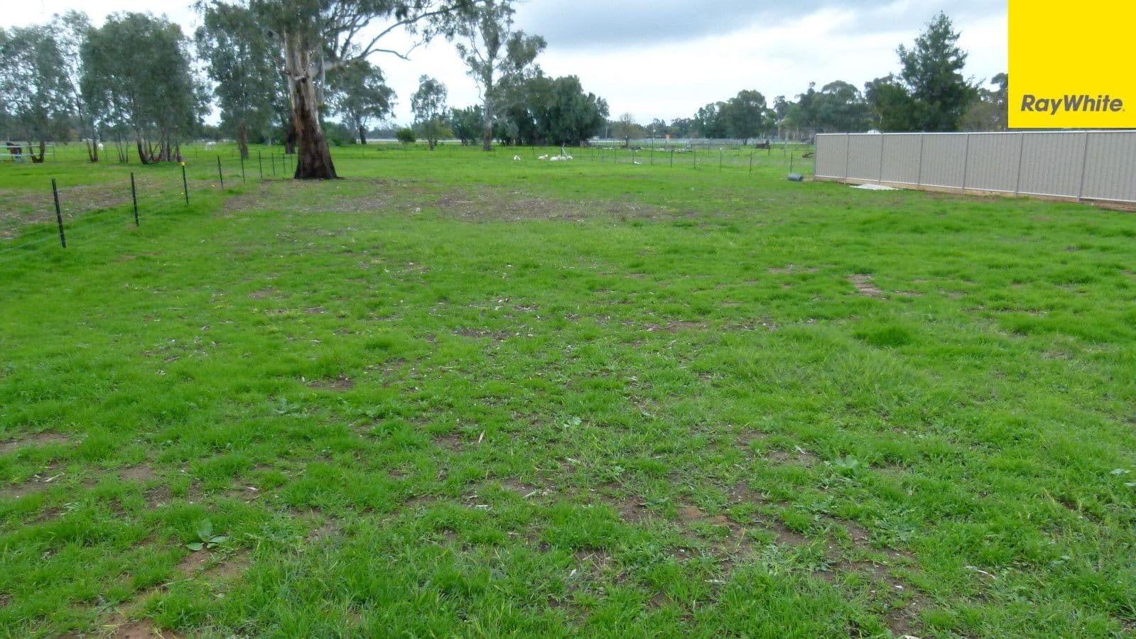 45 Show Street, Forbes NSW 2871, Forbes - Thumbnail 2