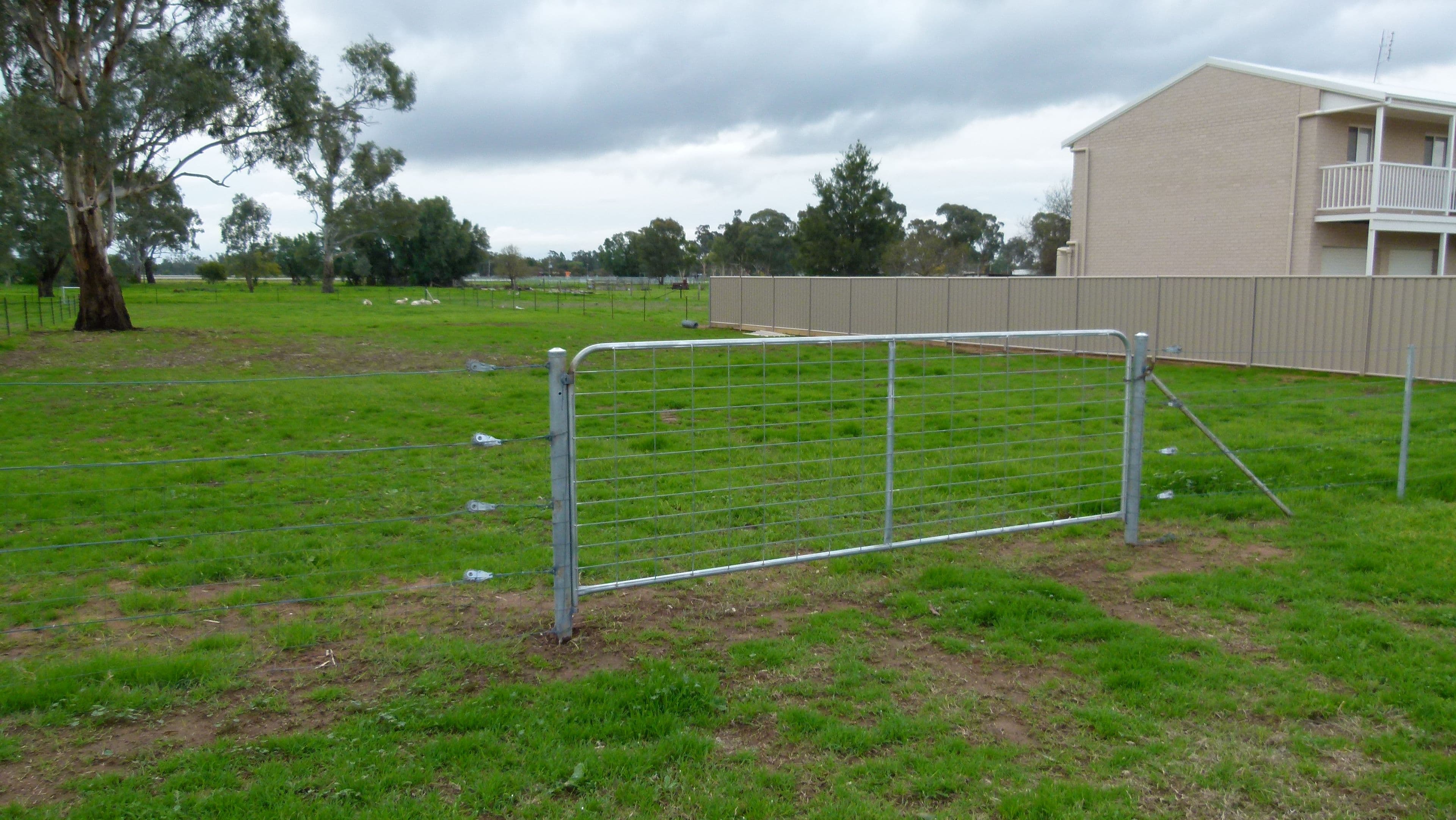 45 Show Street, Forbes NSW 2871, Forbes - Thumbnail 3
