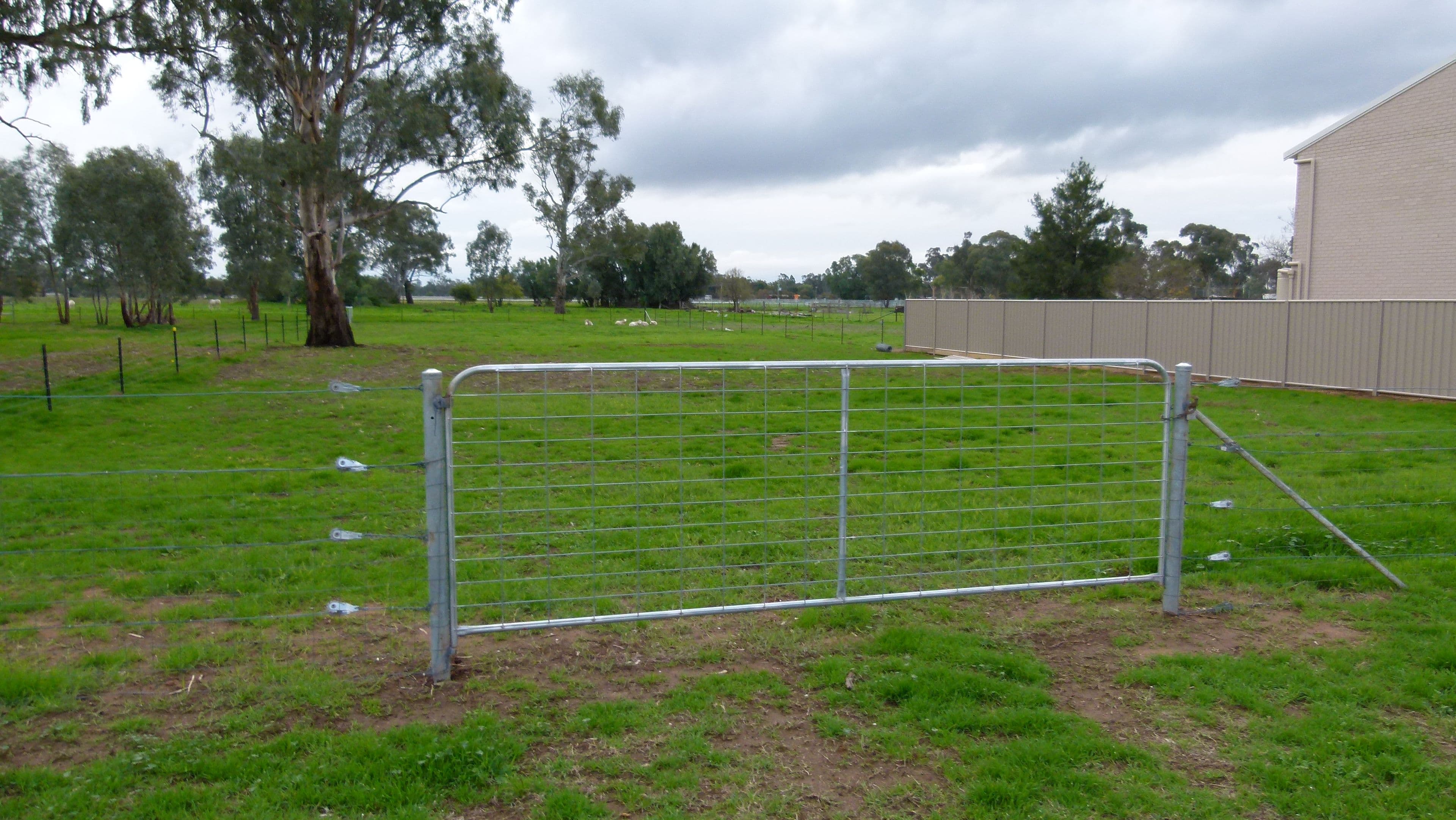 45 Show Street, Forbes NSW 2871, Forbes - Thumbnail 4