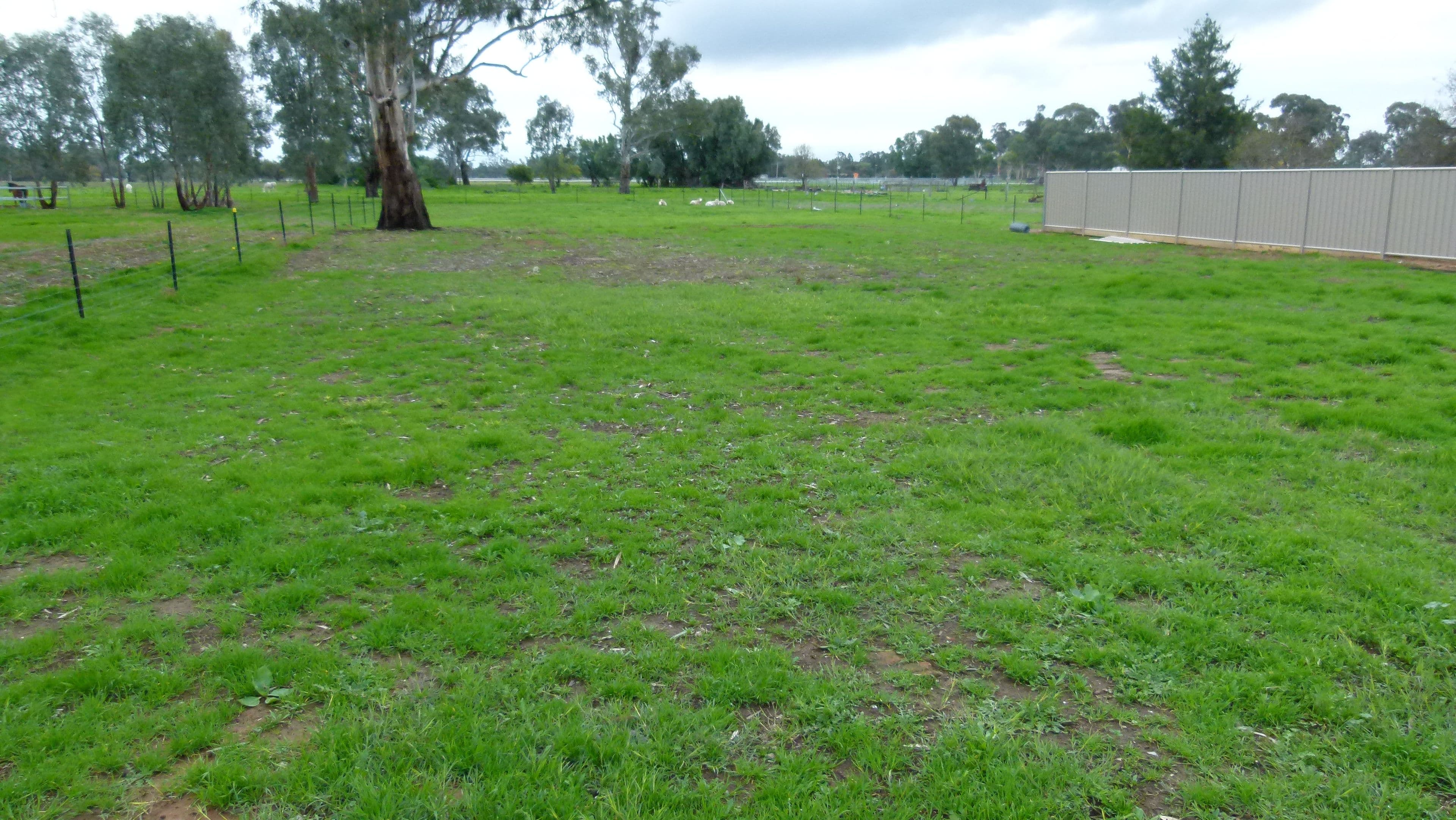 45 Show Street, Forbes NSW 2871, Forbes - Thumbnail 5