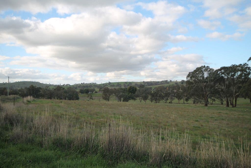 86 Dowling Drive, MURRINGO NSW 2586, Murringo - Thumbnail 2