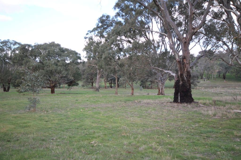 86 Dowling Drive, MURRINGO NSW 2586, Murringo - Thumbnail 4