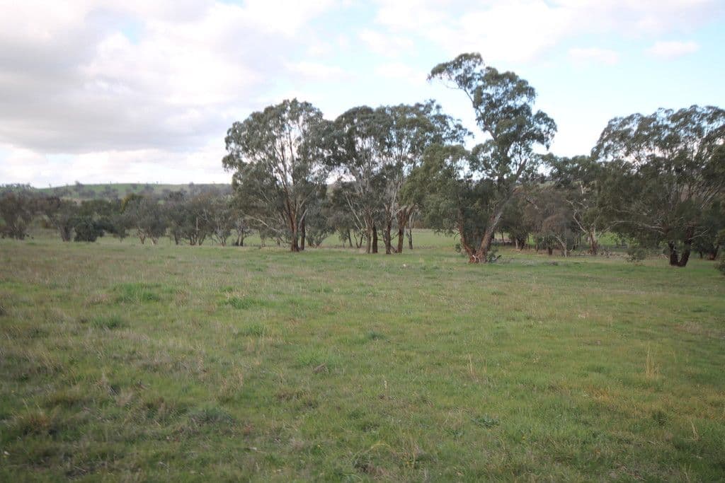 86 Dowling Drive, MURRINGO NSW 2586, Murringo - Thumbnail 5