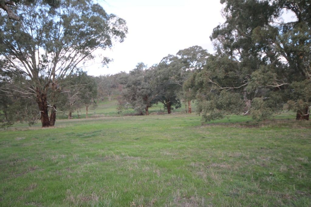 86 Dowling Drive, MURRINGO NSW 2586, Murringo - Thumbnail 8