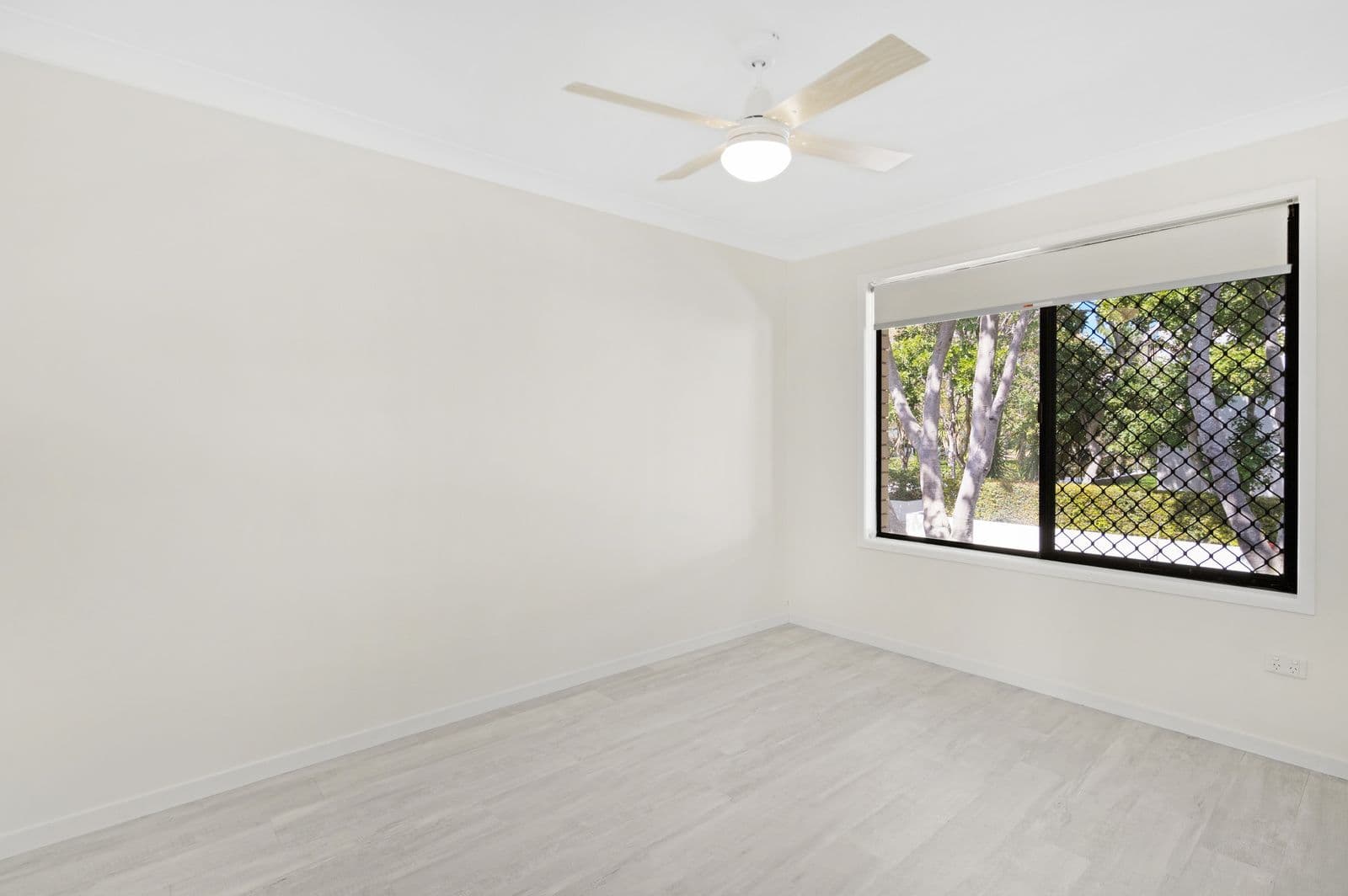 31 Brighton Street, Biggera Waters QLD 4216, Biggera Waters - Thumbnail 6