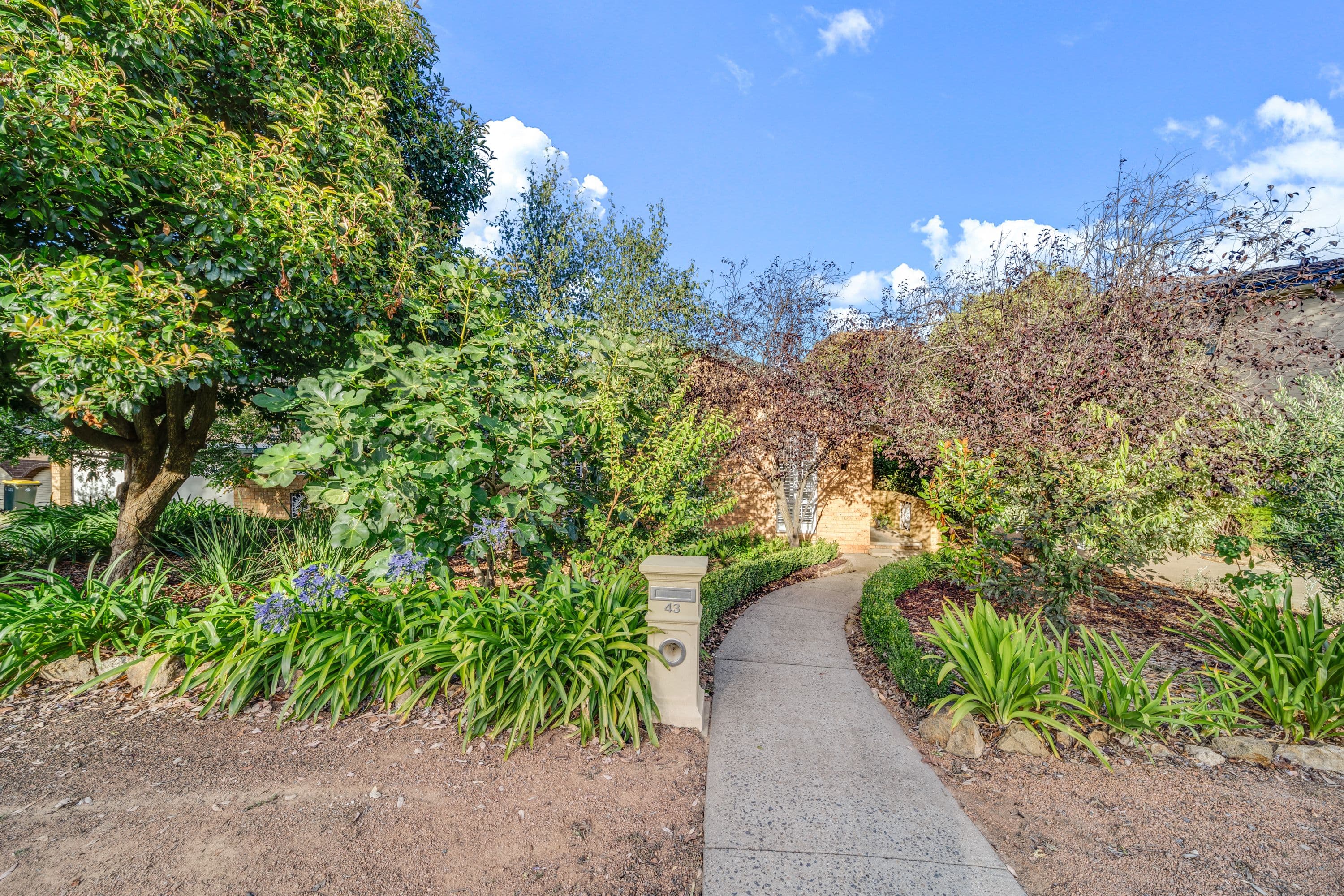 43 Tanumbirini Street, Hawker ACT 2614, Hawker - Thumbnail 2