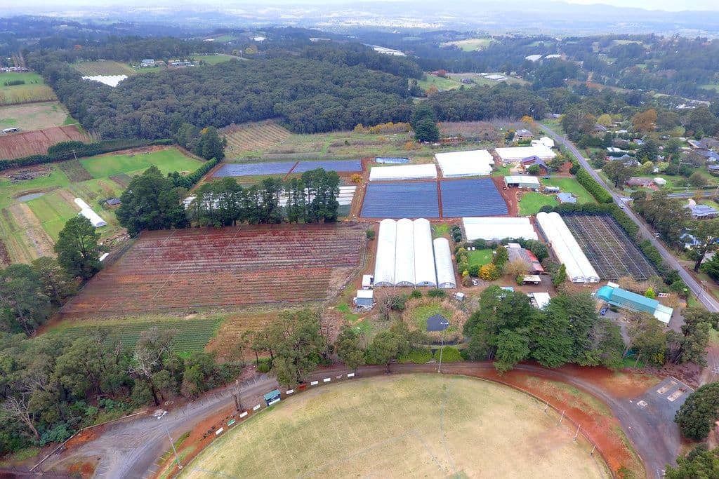 1 Parker Road, Silvan VIC 3795, Silvan - Thumbnail 3