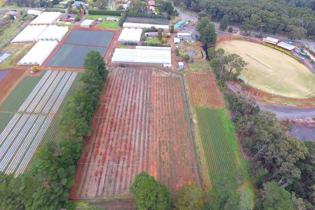 1 Parker Road, Silvan VIC 3795, Silvan - Thumbnail 5