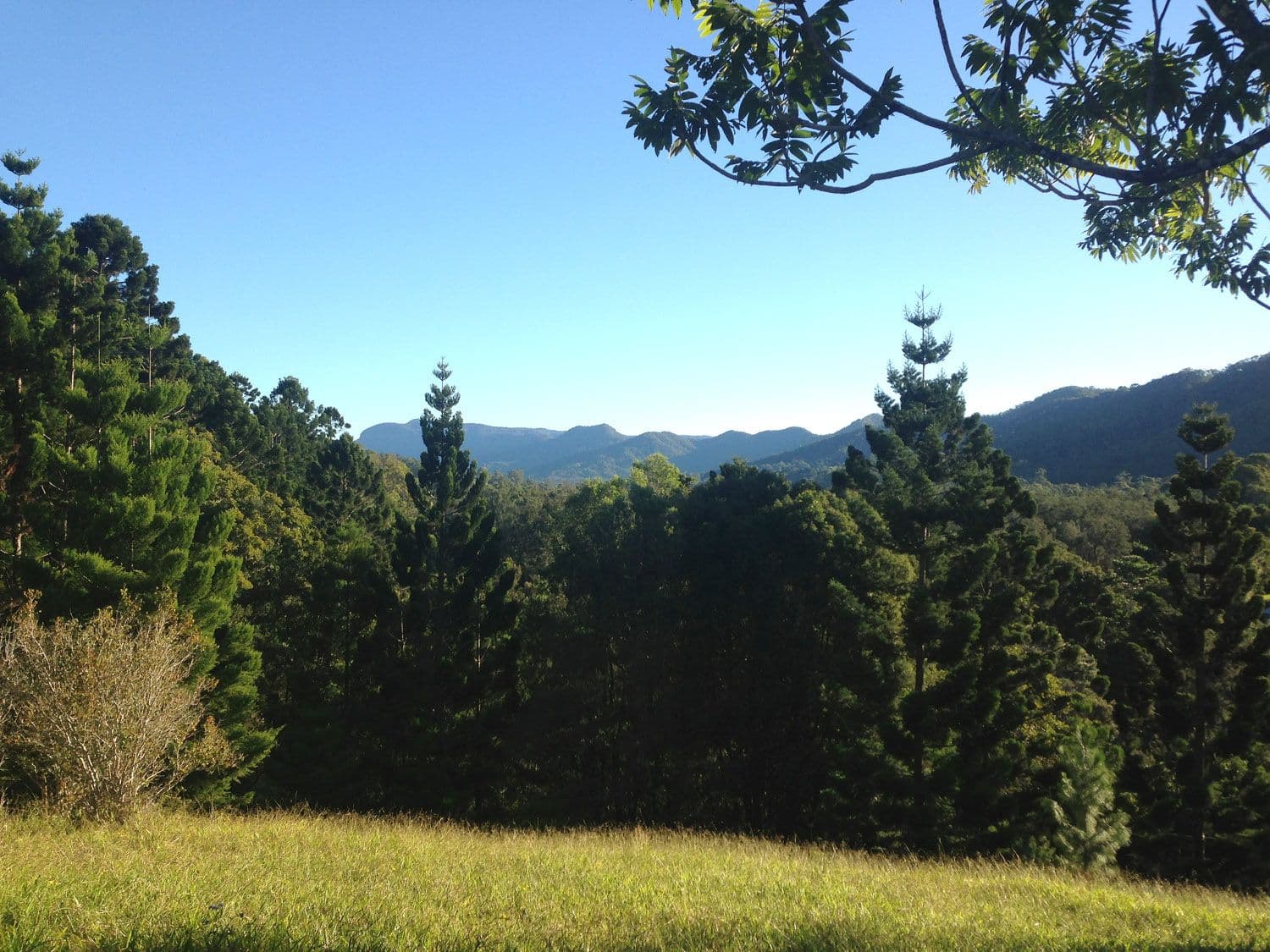 Lot 23 Syndicate Road, TALLEBUDGERA VALLEY QLD 4228, Tallebudgera Valley - Thumbnail 4