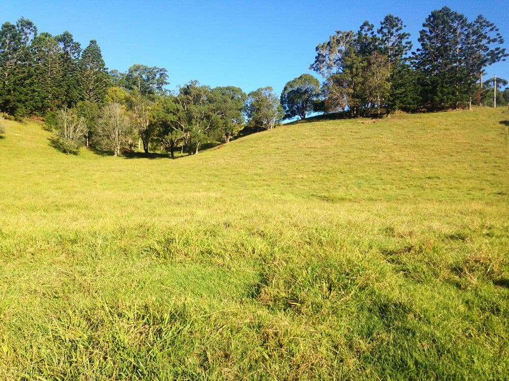 Lot 23 Syndicate Road, TALLEBUDGERA VALLEY QLD 4228, Tallebudgera Valley - Thumbnail 5