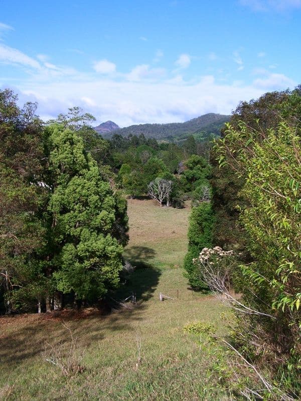 Lot 23 Syndicate Road, TALLEBUDGERA VALLEY QLD 4228, Tallebudgera Valley - Thumbnail 6