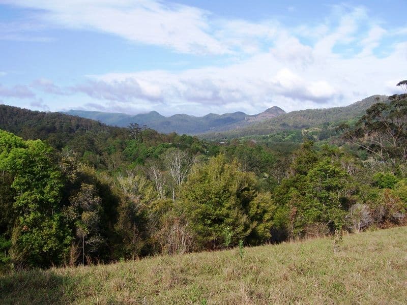 Lot 23 Syndicate Road, TALLEBUDGERA VALLEY QLD 4228, Tallebudgera Valley - Thumbnail 7