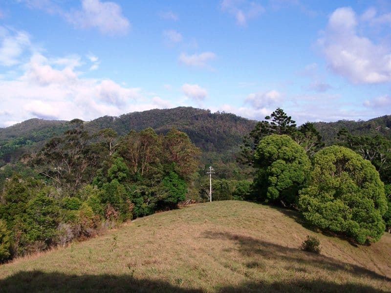 Lot 23 Syndicate Road, TALLEBUDGERA VALLEY QLD 4228, Tallebudgera Valley - Thumbnail 8
