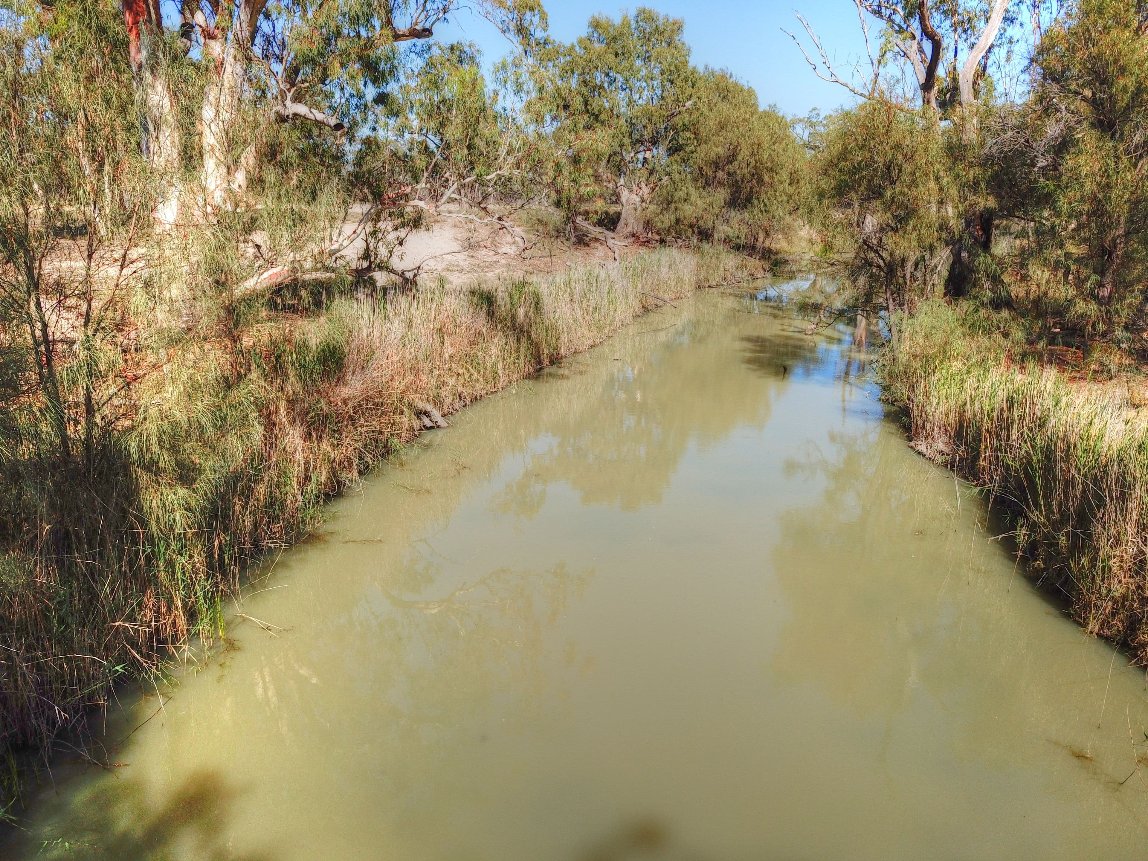 Lot 27 Promnitz Road, Taylorville SA 5330, Taylorville - Thumbnail 6