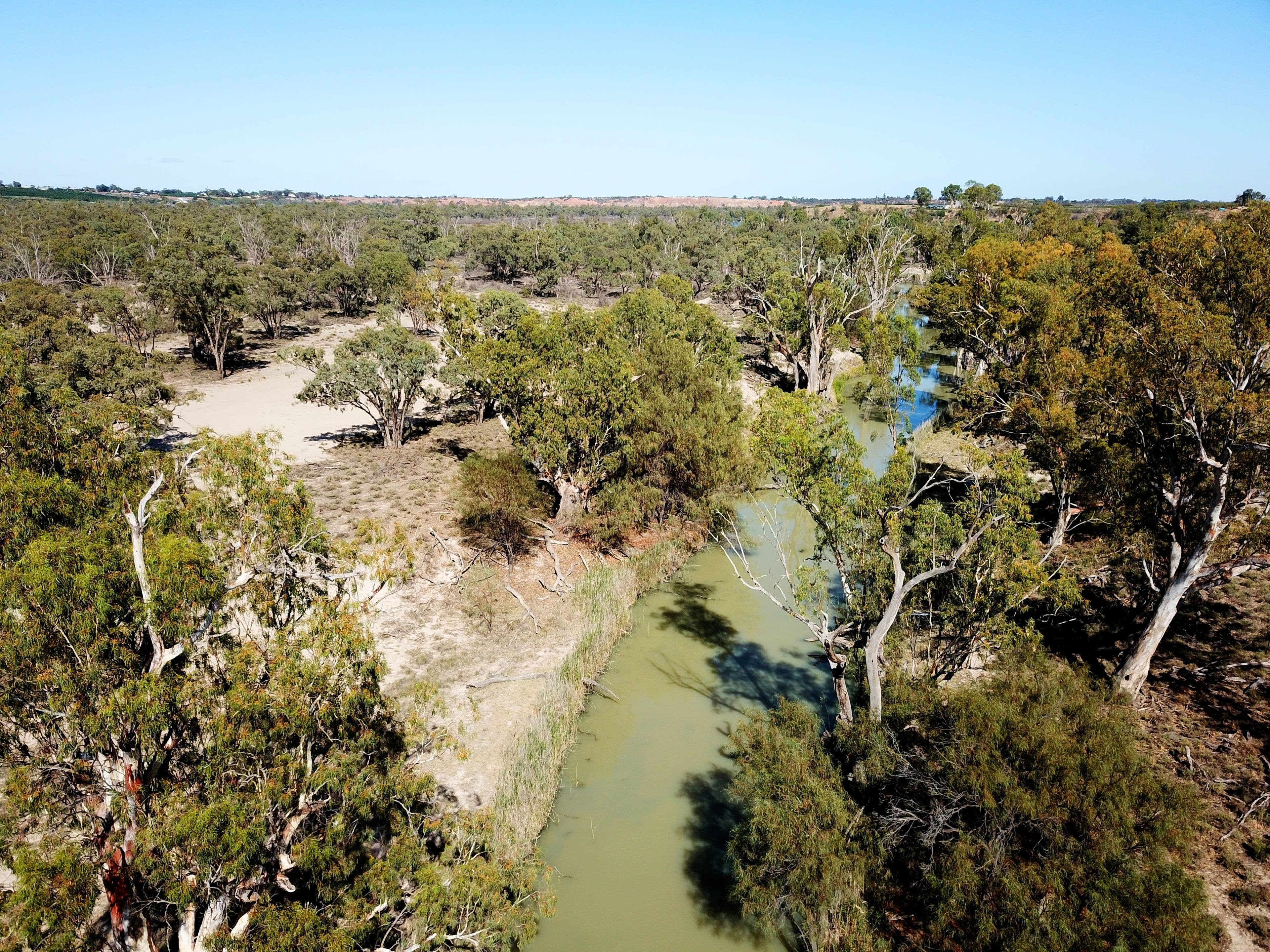 Lot 27 Promnitz Road, Taylorville SA 5330, Taylorville - Thumbnail 7