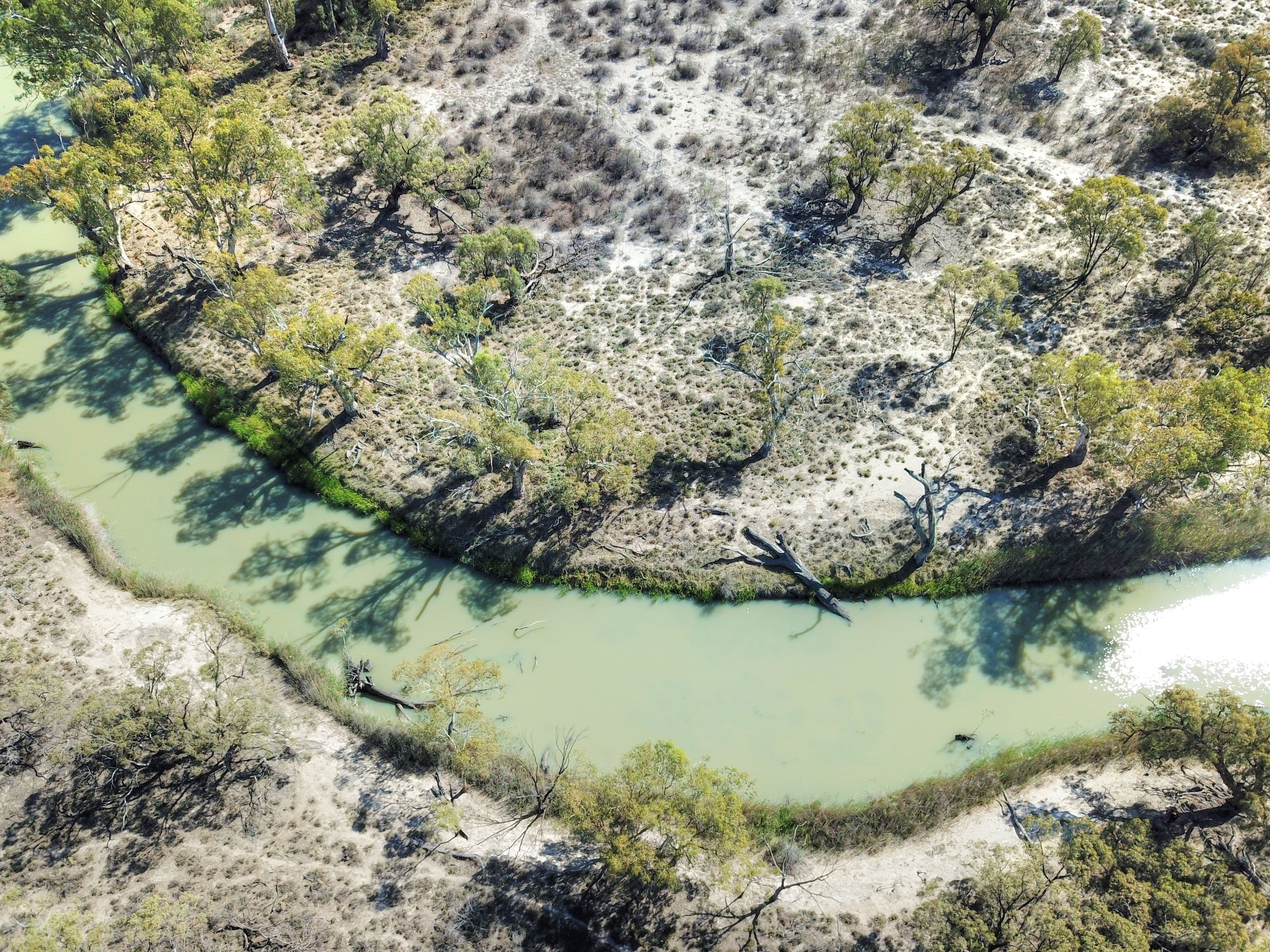 Lot 27 Promnitz Road, Taylorville SA 5330, Taylorville - Thumbnail 8