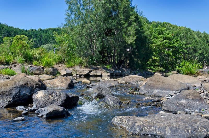 Currumbin Valley QLD 4223, Currumbin Valley - Thumbnail 2