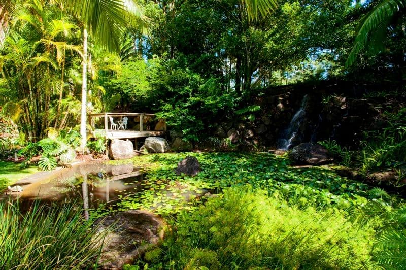 323 Upper Landershute Road, EUDLO QLD 4554, Eudlo - Image 1