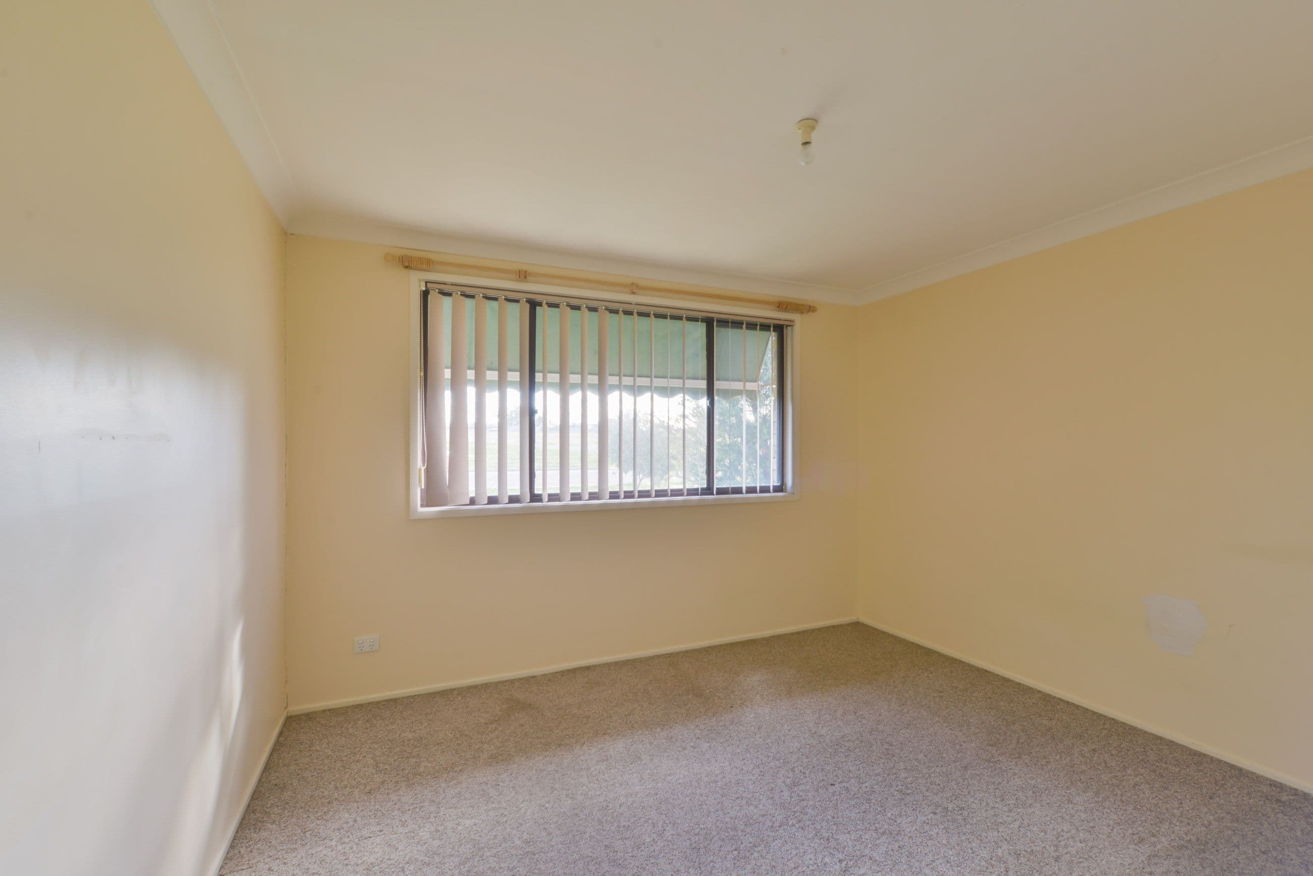 42 Evans Street, Westdale - Thumbnail 6
