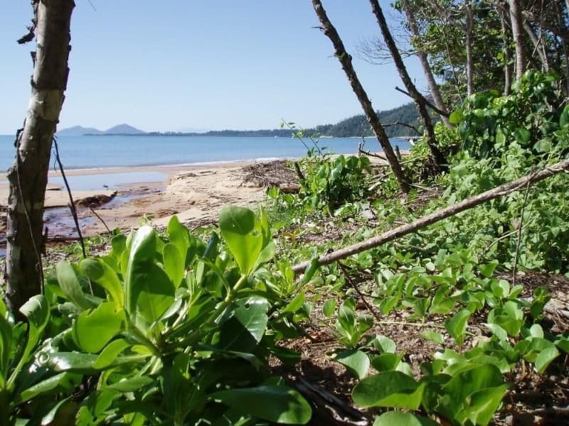 Garners Beach QLD 4852, Garners Beach - Thumbnail 3