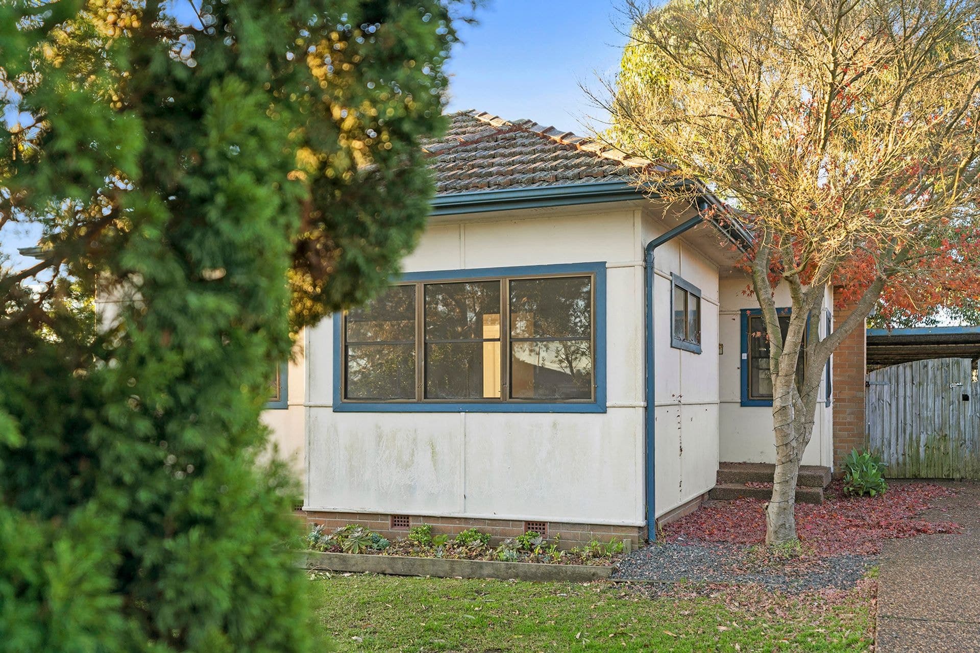 40 Bardia Road, Shortland, NSW, 2307, Shortland - Thumbnail 2