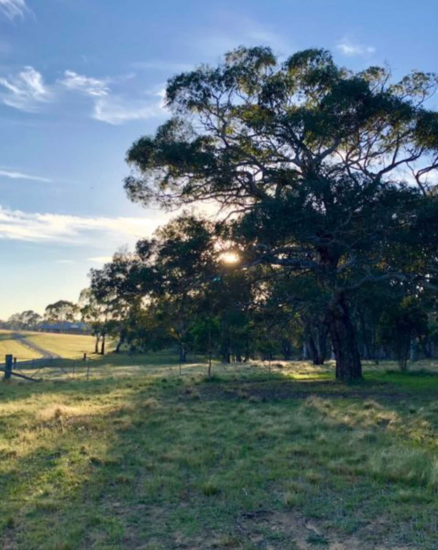 109 Eucalypt Lane High Range, Range - Image 1