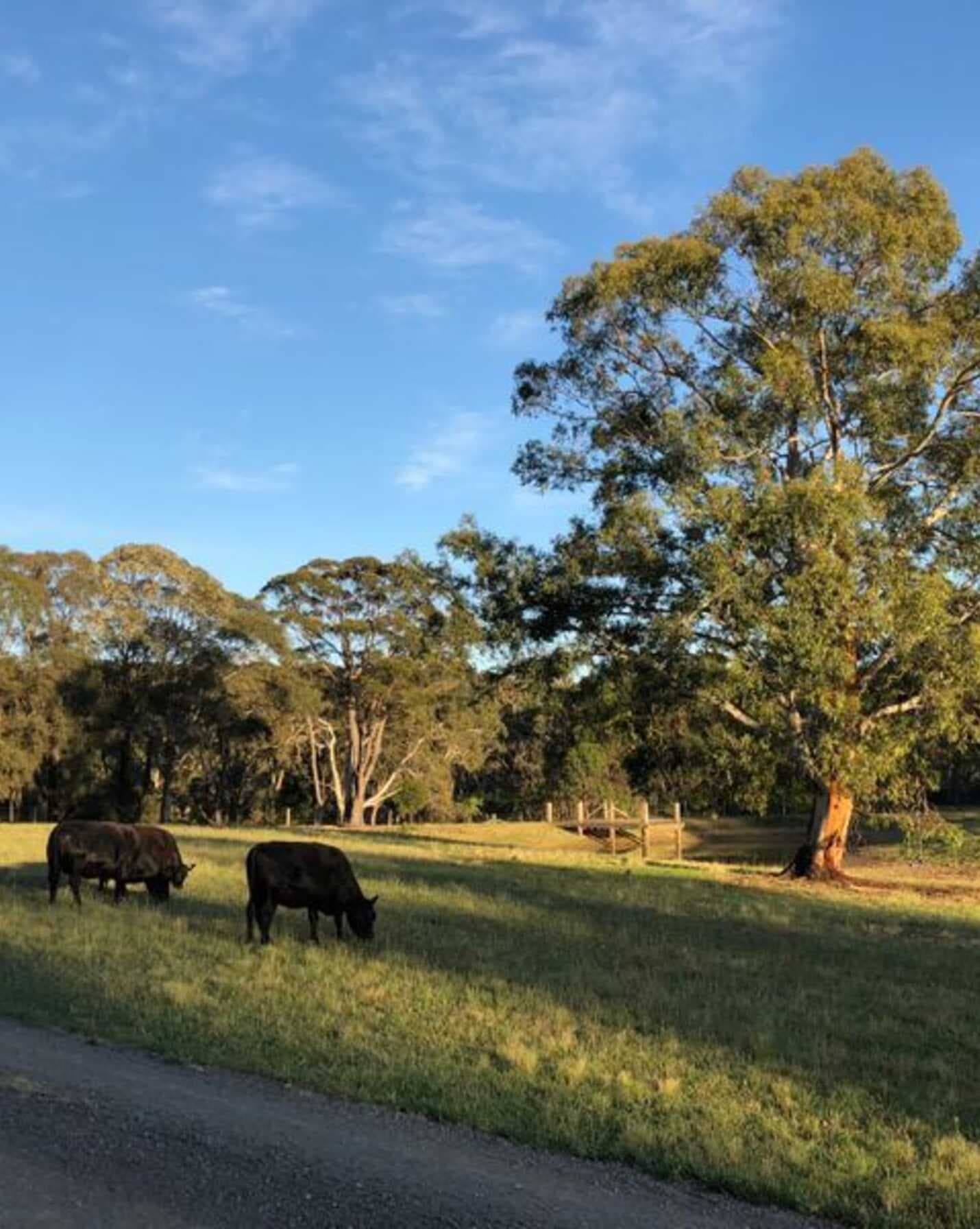 109 Eucalypt Lane High Range, Range - Thumbnail 5