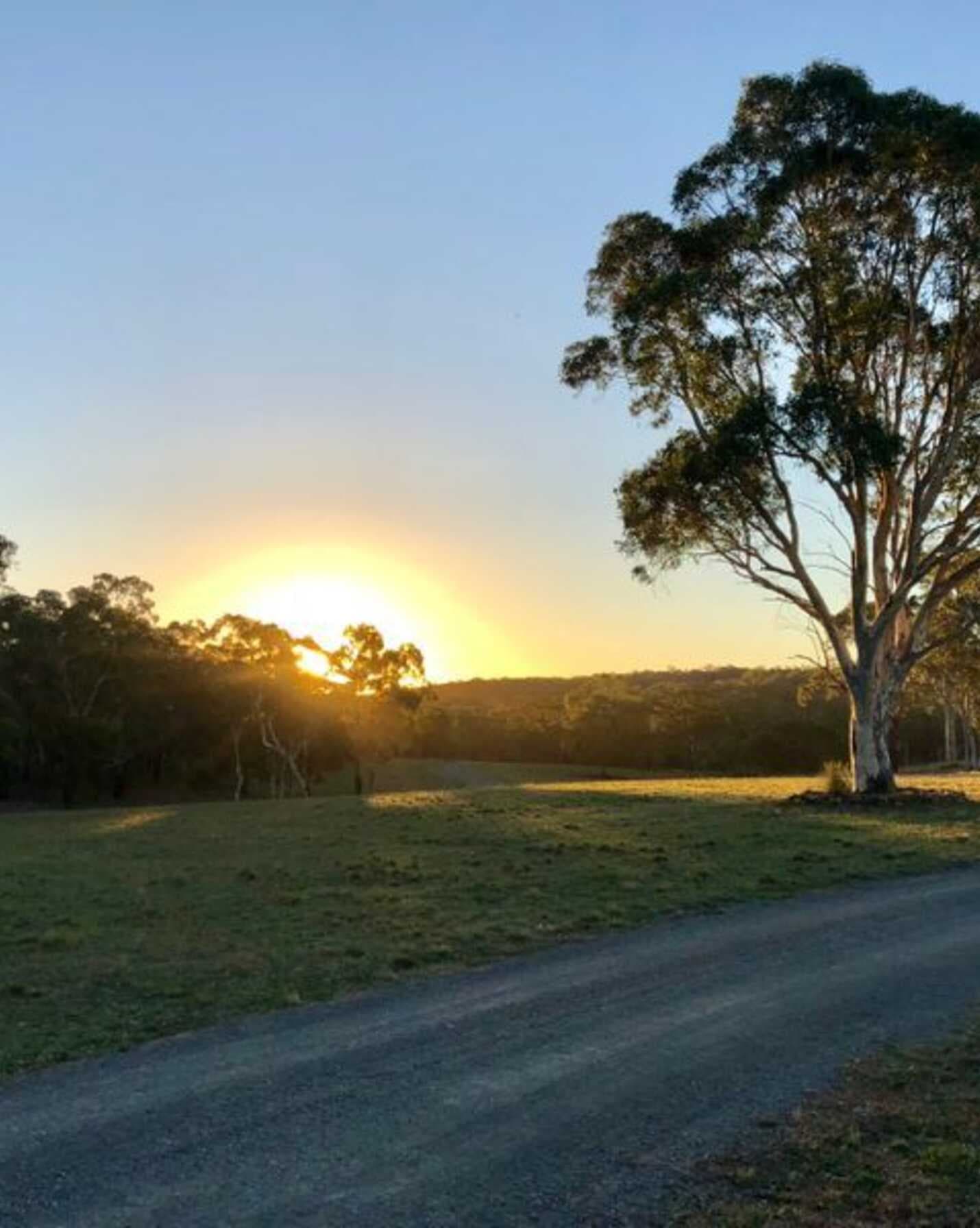 109 Eucalypt Lane High Range, Range - Thumbnail 7