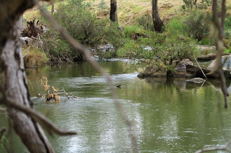492 Eppalock-Knowsley Road, Eppalock VIC 3551, Eppalock - Thumbnail 3