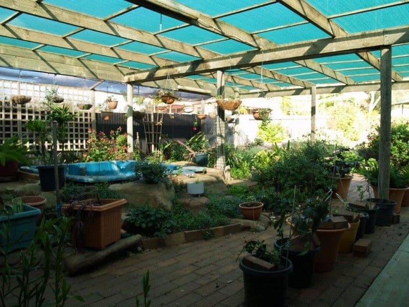19 West Road, WAIKERIE SA 5330, Waikerie - Thumbnail 4