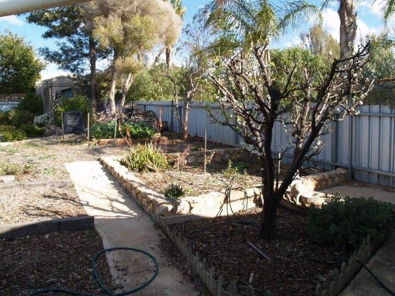 19 West Road, WAIKERIE SA 5330, Waikerie - Thumbnail 6