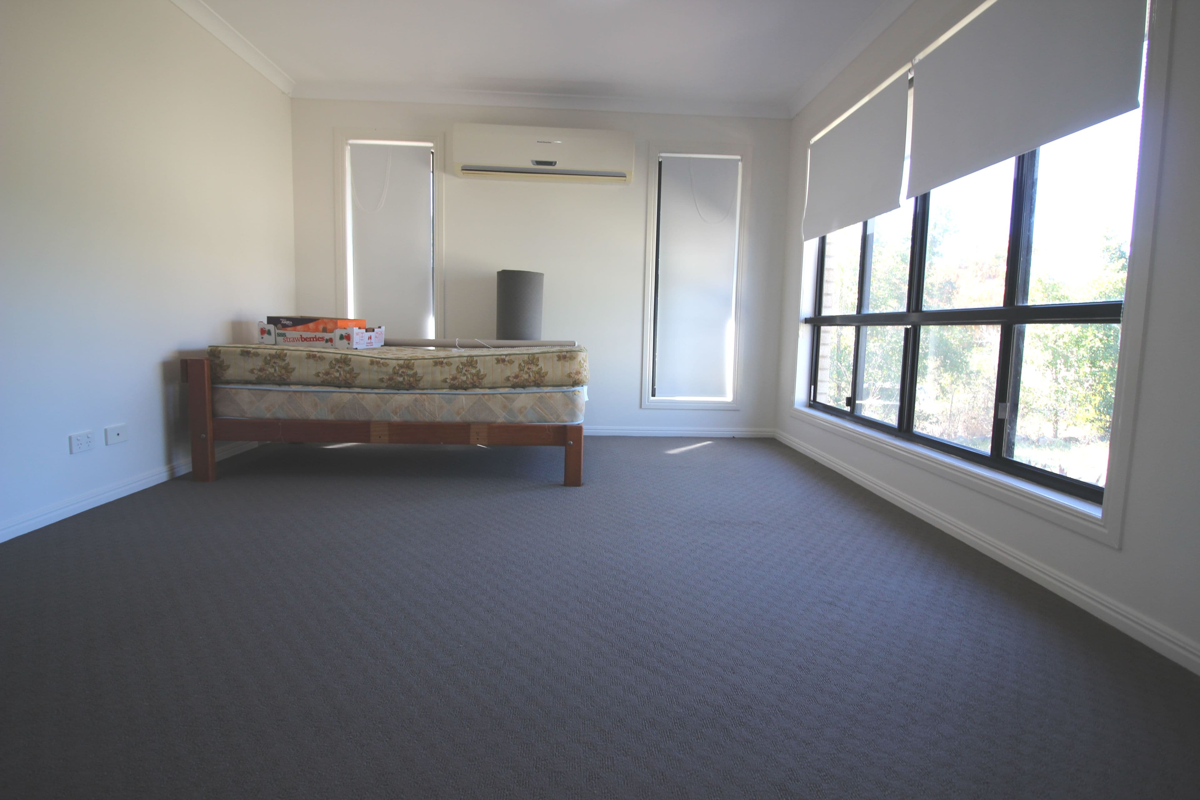 10 Pearson Street, Mount Perry QLD 4671, Mount Perry - Thumbnail 5