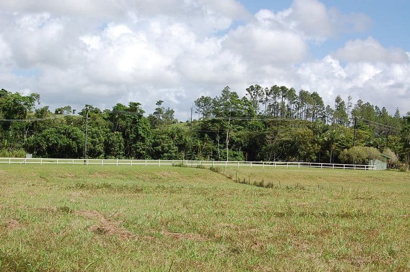 1 Witchetty Place, INNISFAIL QLD 4860, Innisfail - Image 1