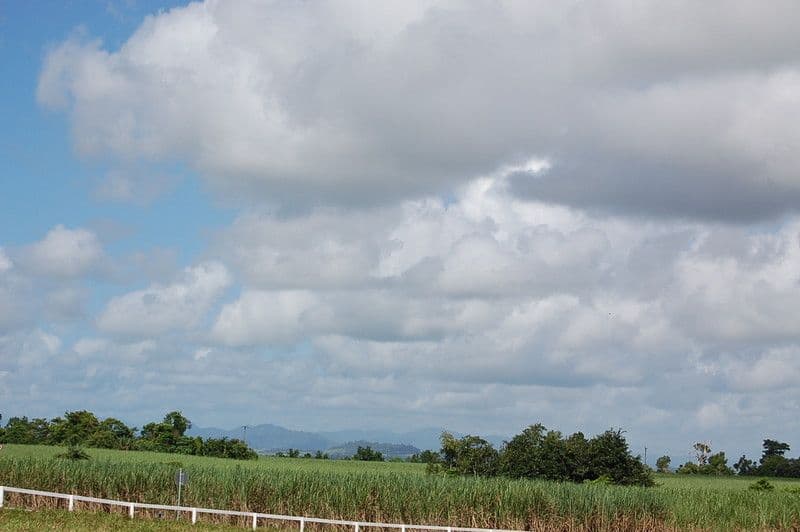 1 Witchetty Place, INNISFAIL QLD 4860, Innisfail - Thumbnail 3