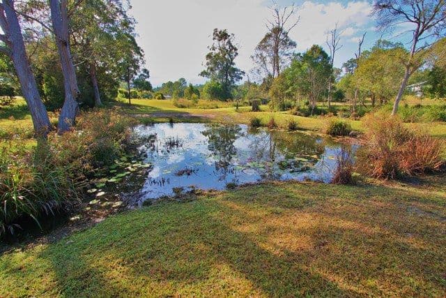 56 Azure, BANKS POCKET QLD 4570, Banks Pocket - Thumbnail 6