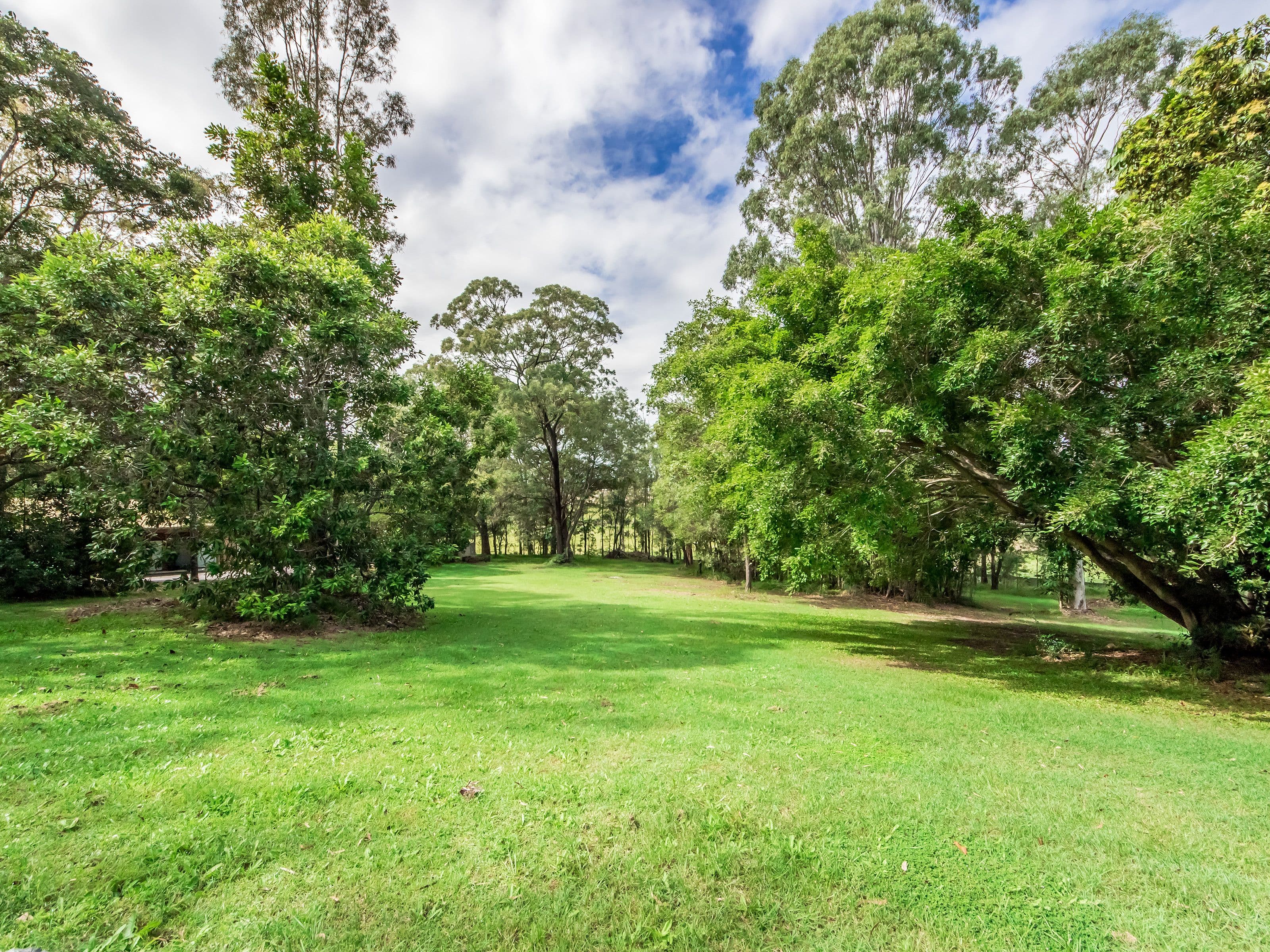 71 Guara Grove, Pimpama QLD 4209, Pimpama - Thumbnail 4