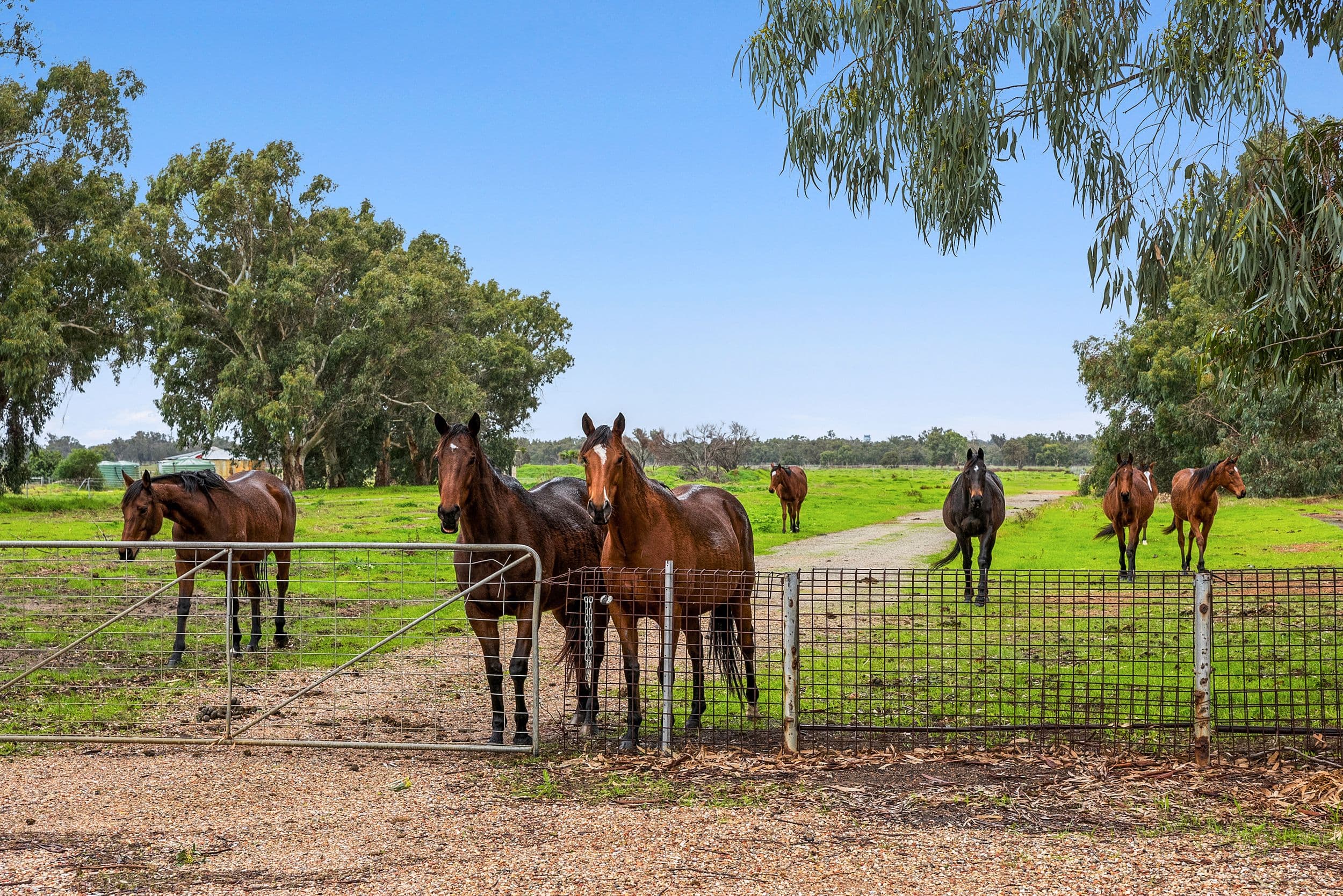 134-138 Warbrook Road, Bullsbrook WA 6084, Bullsbrook - Thumbnail 2