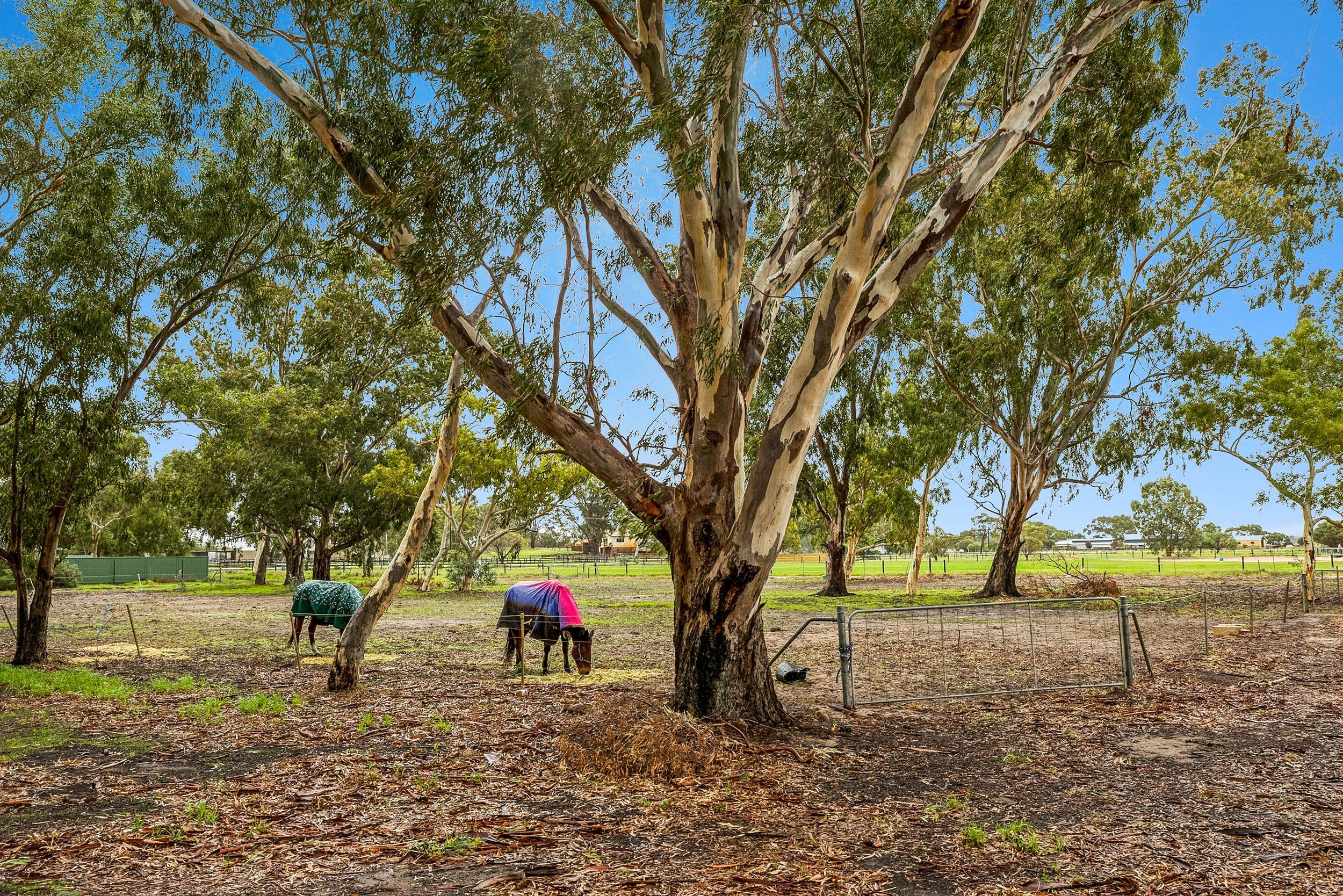 134-138 Warbrook Road, Bullsbrook WA 6084, Bullsbrook - Thumbnail 6