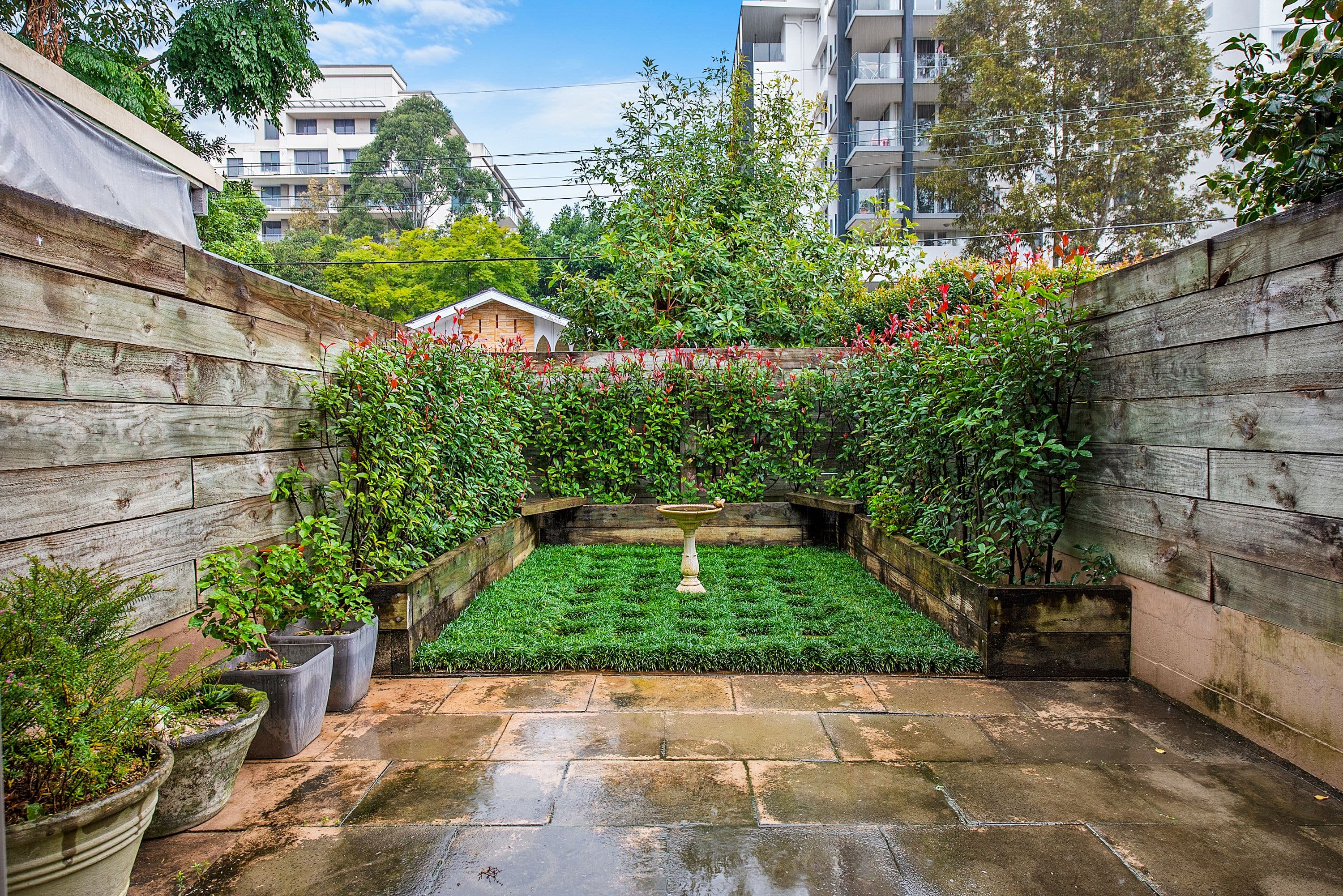 21 Edgeworth David Avenue, Hornsby NSW 2077, Hornsby - Thumbnail 8